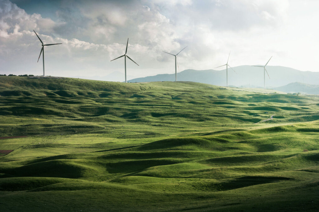 Commitment to a Sustainable Future